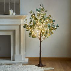 a lighted tree in the corner of a room with a rug on the floor next to it