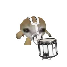 a dog is playing the drums with it's head up and his eyes open