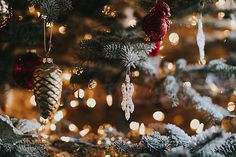 christmas ornaments hanging from the branches of a pine tree with lights in the back ground