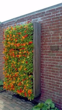 a brick wall covered in colorful flowers next to a wooden door and planter box