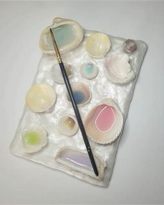 there are many seashells and a paintbrush on the tray