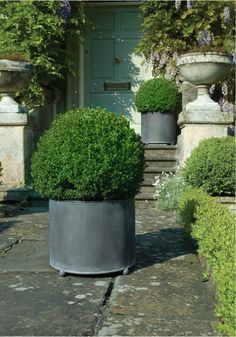 two large potted plants sitting on top of a stone walkway