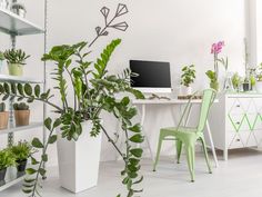 a room filled with lots of potted plants next to a white desk and chair