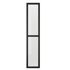 a tall black and white door with two panes on each side, in front of a white background