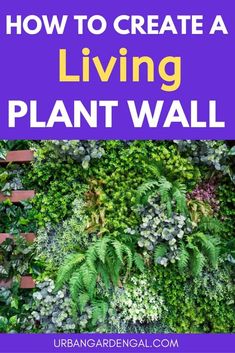 a living plant wall with text overlay that reads how to create a living plant wall