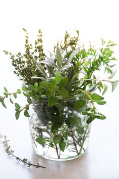 a glass vase filled with green plants on top of a table