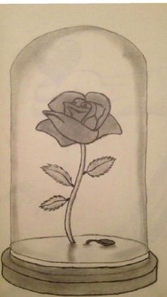 a drawing of a rose in a glass dome