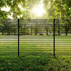 the sun shines through the trees and grass behind a black fence