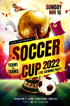 the soccer cup flyer is shown