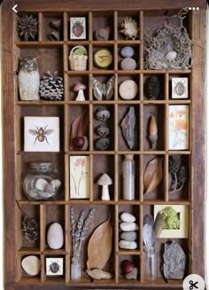 a wooden box filled with lots of different types of rocks and stones on top of each other