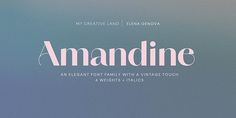 an elegant font family with a vintage touch 4 weights + 2 styles by amandae