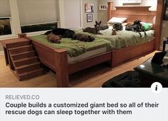 three dogs laying on top of a bed in a room