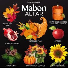 Autumnal Equinox Celebration, Burn Bay Leaves, Mabon Altar, Wicca Holidays, Wiccan Sabbats, Waxing Moon, Autumn Witch, Set Your Intentions, Autumnal Equinox