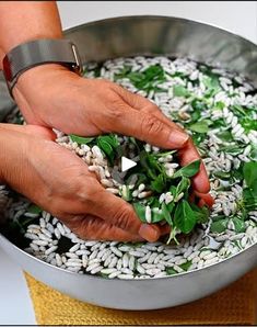 a person is sprinkling greens in a pot