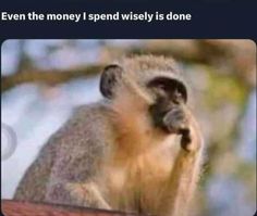 a monkey sitting on top of a wooden table next to a sign that says, even the money i spend wisely is done