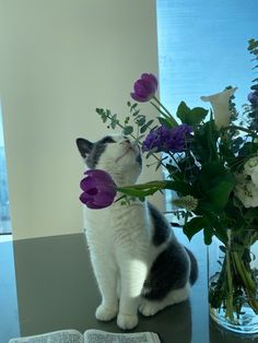 a cat sitting on a table next to a vase filled with flowers and an open book