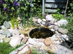 there is a small pond in the middle of some rocks and grass with purple flowers around it