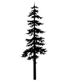 a black and white silhouette of a tall pine tree with leaves on it's branches