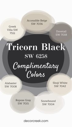 A color scheme featuring complementary colors for Tricorn Black SW 6258 by Sherwin-Williams is presented. The swatches include shades like Greek Villa, Accessible Beige, Dovetail, Alabaster, Shoji White, Repose Gray, and Snowbound. The design highlights a mix of warm neutrals and soft grays that complement the boldness of Tricorn Black. Whites That Go With Tricorn Black, Tan Black And White Living Room Paint Colors, Colors With Tricorn Black, Farmhouse With Black Interior Doors, Sherwin Snowbound, Soft Black Color Palette, Best White To Go With Tricorn Black, Tricorn Black And Alabaster Interior, Sherwin Williams Black And White Exterior