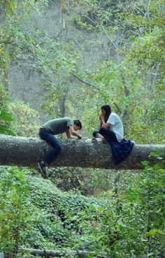 two people are sitting on a fallen tree in the woods and one person is taking pictures