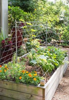 a garden filled with lots of different types of plants