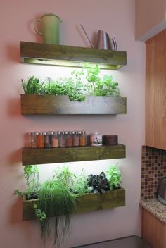 two wooden shelves filled with plants and herbs