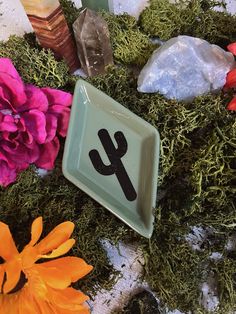 a plate with the letter y on it surrounded by flowers and rocks