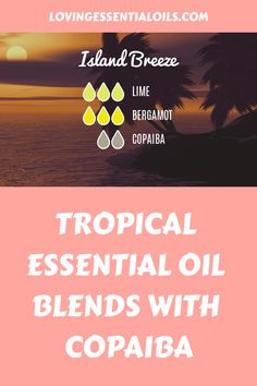 Tropical Essential Oil Blends with Copaiba: Try our Island Breeze Diffuser Blend with lime and bergamot Lime Essential Oil Blends, Copaiba Diffuser Blends, Essential Oil Diffuser Benefits, Copaiba Essential Oil, Calming Environment, Mood Stabilizer, Diy Essential Oil Recipes, Island Breeze