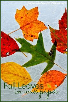 fall leaves in wax paper with the words, fall leaves in wax paper