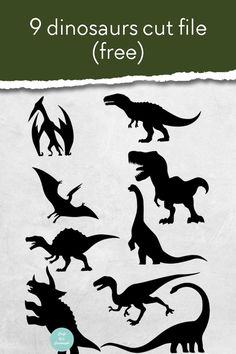 the silhouettes of dinosaurs are shown in black and white, with text that reads 9 dinosaur