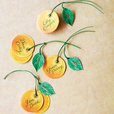 three oranges with green leaves and the words happy earth are hanging on a string