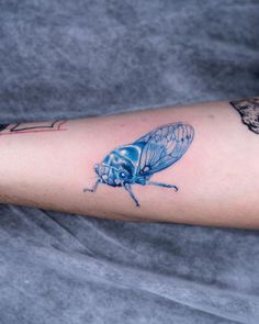 a blue bug tattoo on the arm