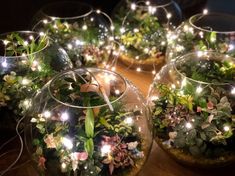 several glass vases filled with plants and lights on top of a wooden table next to each other