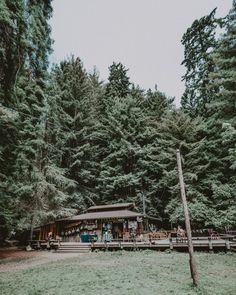 a group of people standing in front of a wooden structure surrounded by tall pine trees