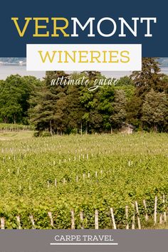 the cover of vermont wineries ultimate guide, with an image of a vineyard in the background