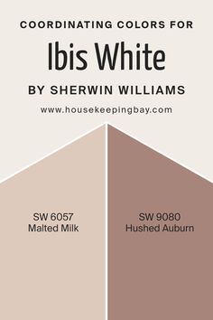 Coordinating Colors of Ibis White SW 7000 by Sherwin Williams Paint Contrast Ideas, Malted Milk Paint Color, Hushed Auburn Paint, Malted Milk Color Palette, Malted Milk Sherwin Williams Bedroom, Sw Malted Milk Paint, Hushed Auburn Bedroom, Hushed Auburn Sherwin Williams Bedroom