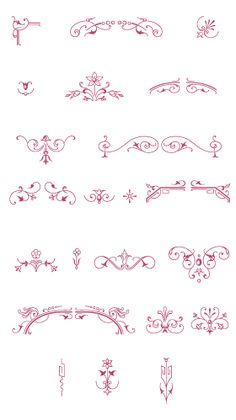 a set of ornate design elements