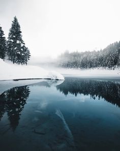 a body of water surrounded by snow covered trees and evergreens on the side of a mountain