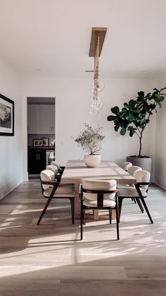 a dining room table with chairs and a potted plant in the center on top of it