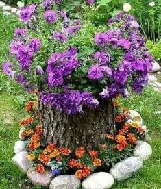 a tree stump with flowers growing out of it