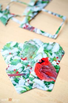 some cards are sitting on a table and one has a red bird in the middle