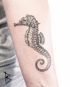 a small seahorse tattoo on the arm