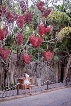 a woman standing in front of a tree with red fruit hanging from it