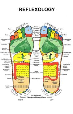 Buy Reflexology Foot Poster 12x16 Print on Metal Sign 12in x 16in Multi-Color Square Adults Best Posters at Walmart.com Reflexology Foot Chart, Foot Reflexology Massage, Pelvic Region, Reflexology Chart, Reflexology Massage, Foot Reflexology, Healing Touch, Loose Skin, Reflexology