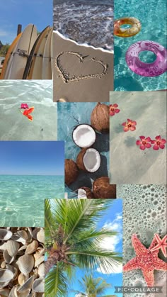 a collage of different pictures including coconuts, shells and other things on the beach