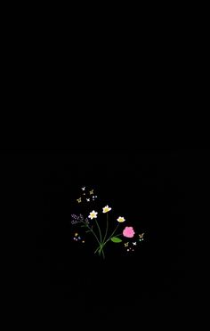 some flowers that are in the dark