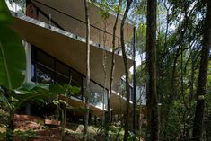 the building is surrounded by trees and plants