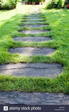 a stone path in the grass leading to a garden