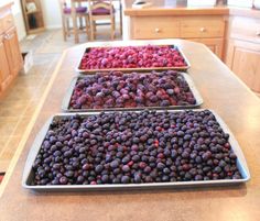 three pans filled with berries sitting on top of a counter