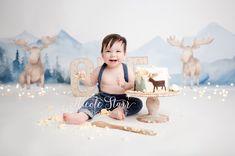 a baby sitting on the floor with a cake in front of him and an elk backdrop